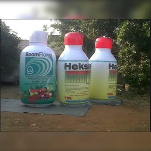 Jual Balon Botol Display (4)
